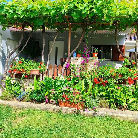 Apartments Pavao 1402 プーラ エクステリア 写真